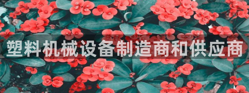 九游会官网真人认证吗知乎