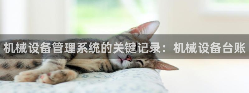 九游会agapp