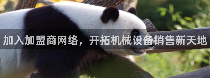 九游会官网j9