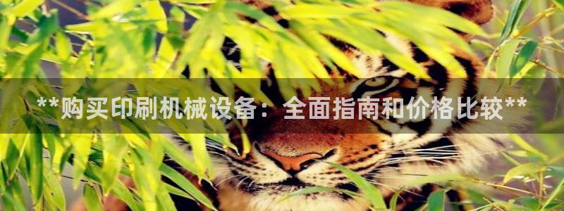 j9九游会app官方下载