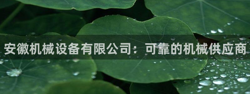 j9九游会老哥俱乐部官网