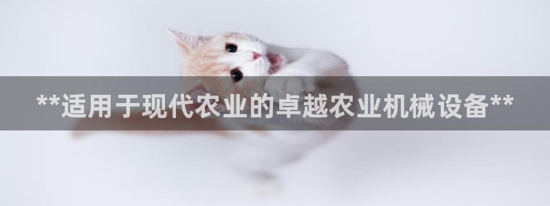 九游会亚洲官网