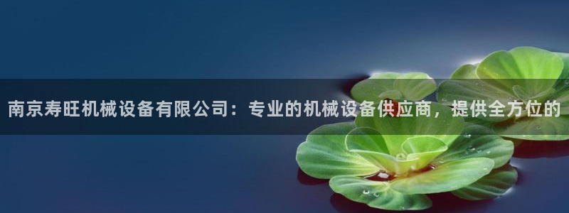 9游会app
