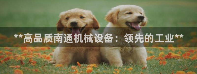 九游会平台入口