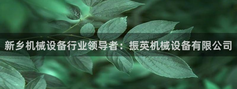 ag变成九游会