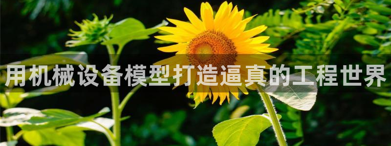 j9vm