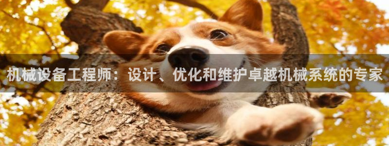 九游会j9网站首页
