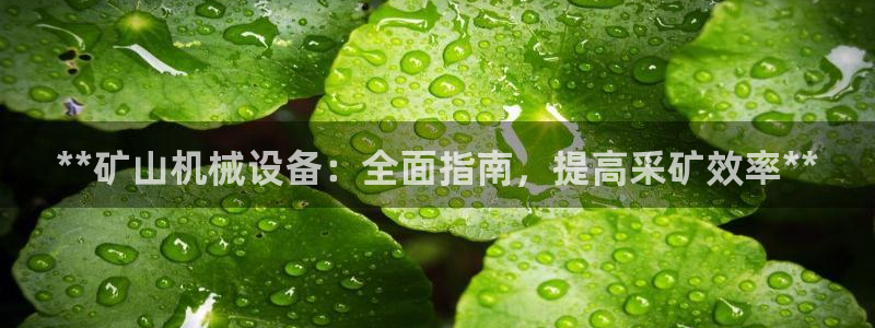 九游会官网真人认证吗知乎