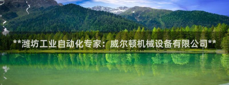 九游会登录网站吗