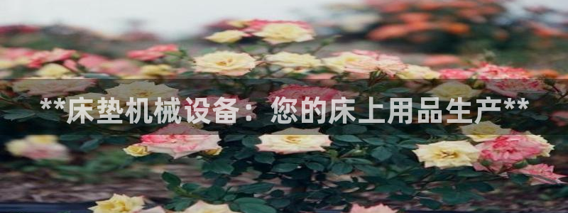 九游会官网地址