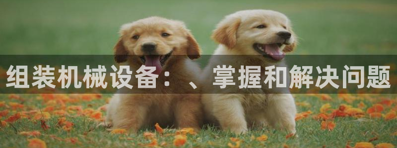 九游会官网真人游戏第一品牌