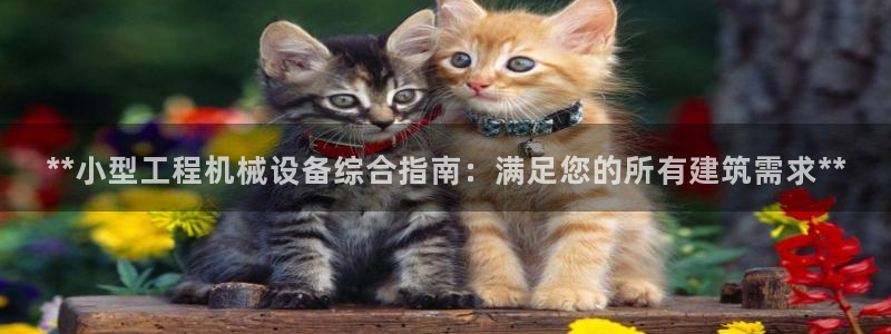 九游会官网贴吧