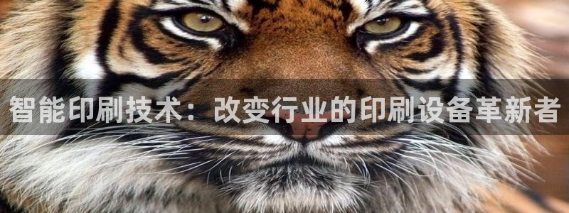 九游会ag首页