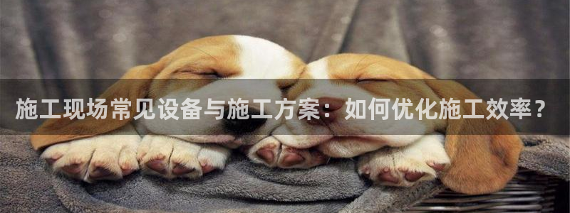 九游会官网首页