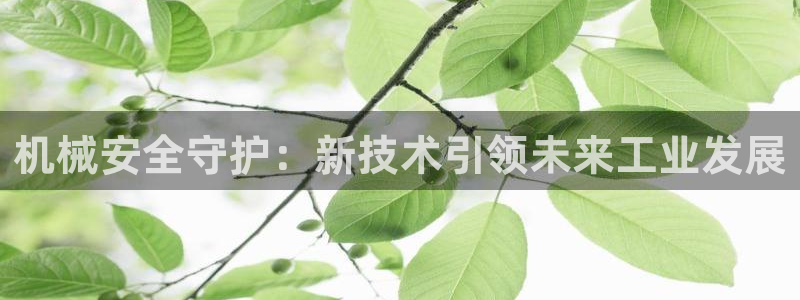 j9九游会入口