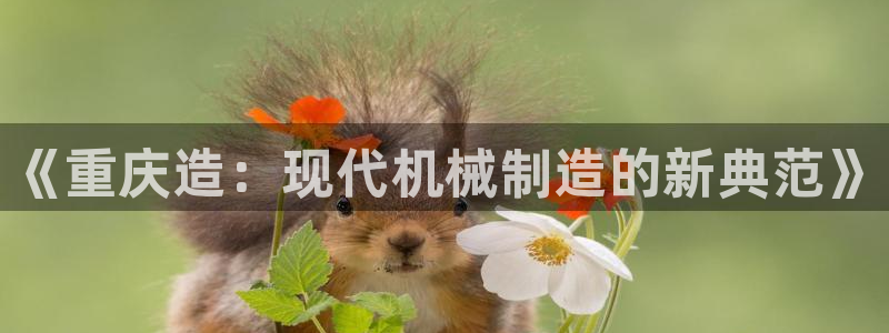 九游J9官网登录入口