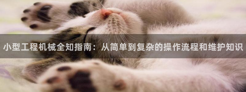 j9九游会体育