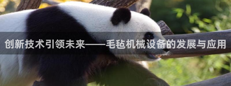 九游会网址在线玩