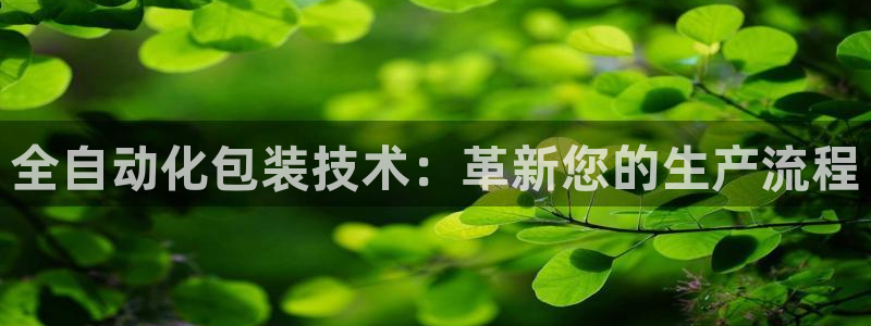 九游会J9官网入口：