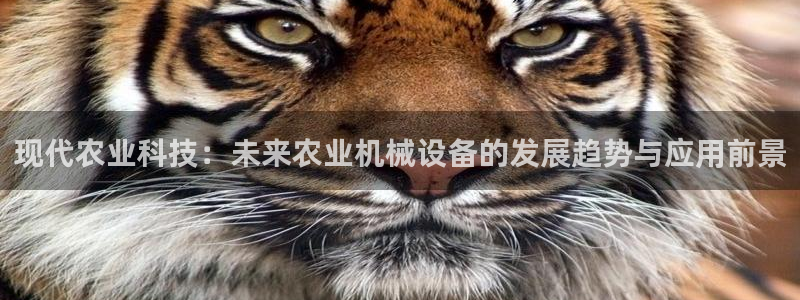 九游会官网ag