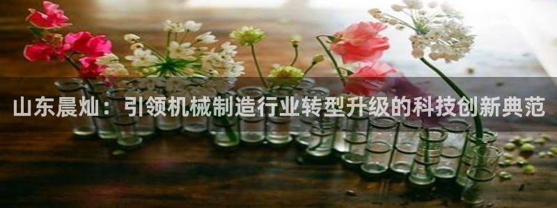 九游会登录网址