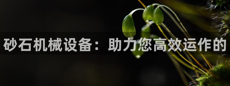 九游会ag网址大全专业版