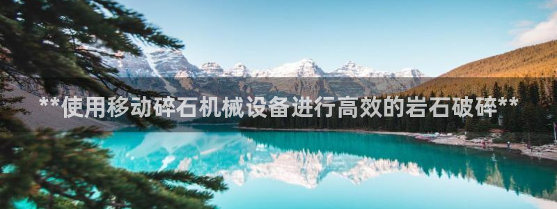 九游会ag官方平台