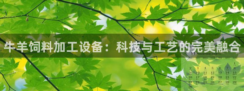 九游会官网登入首页
