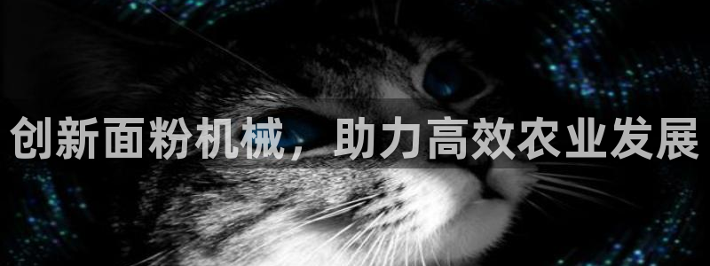 九游会在线官方下载吗