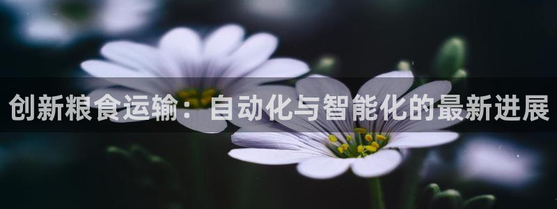 九游会游戏官方登录