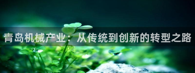 j9363九游会首页