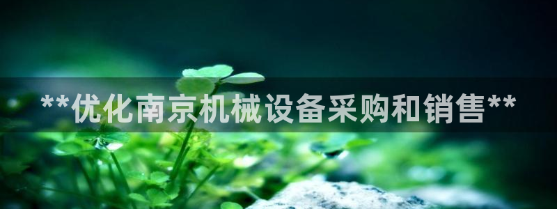 九游会网站打不开了