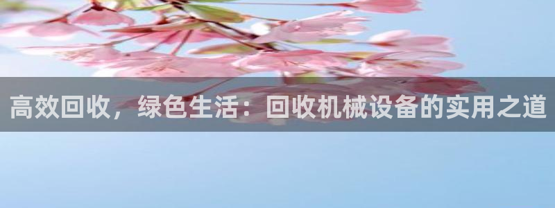 九游会官网首页：高效