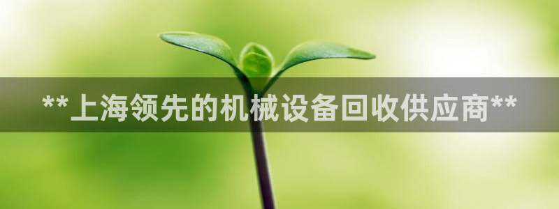 j9vminternals.ensureerror