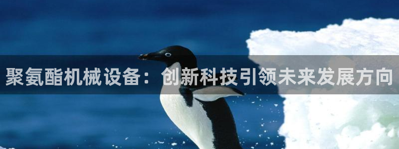 九游会口碑怎么样