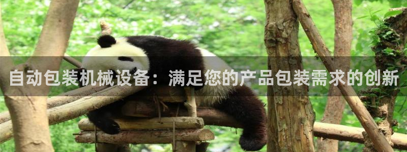 九游会网址登陆