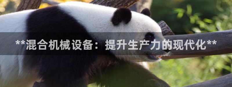 九游会官网app下载