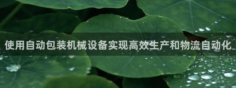j9九游会合法吗