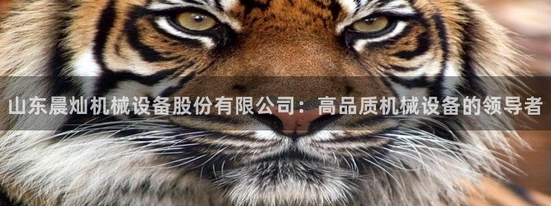 九游会官方链接