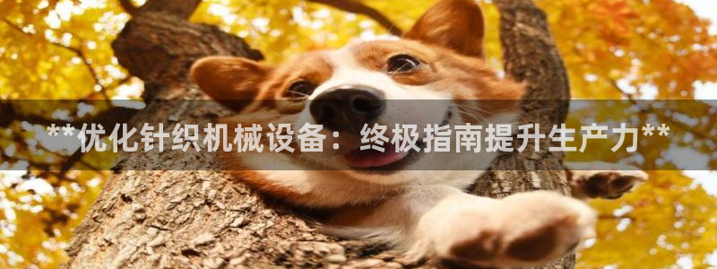 j9九游会合法吗