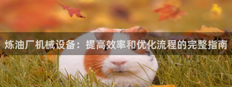 j9首页
