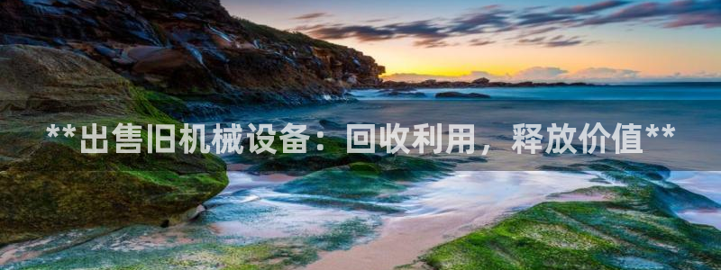 九游会是ag吗
