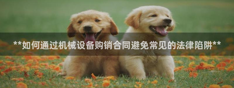 九游会上不去了