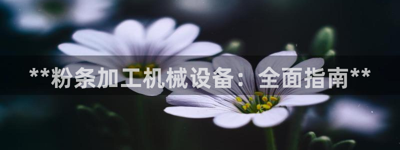 九游会中国入口
