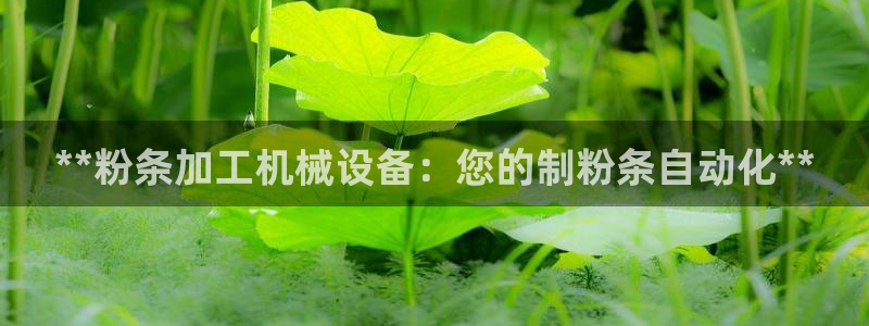 j9九游会登陆入口