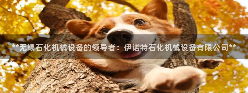 九游j9登陆