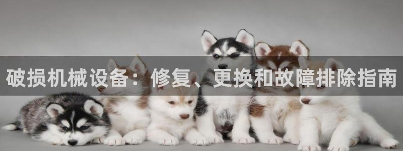 ag九游会