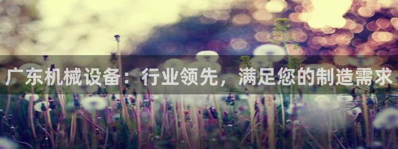 九游会集团货币