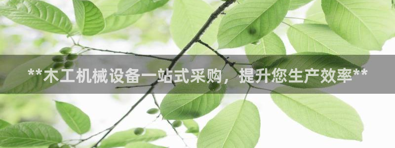 九游会直营
