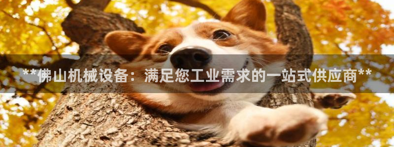 九游会不会凉